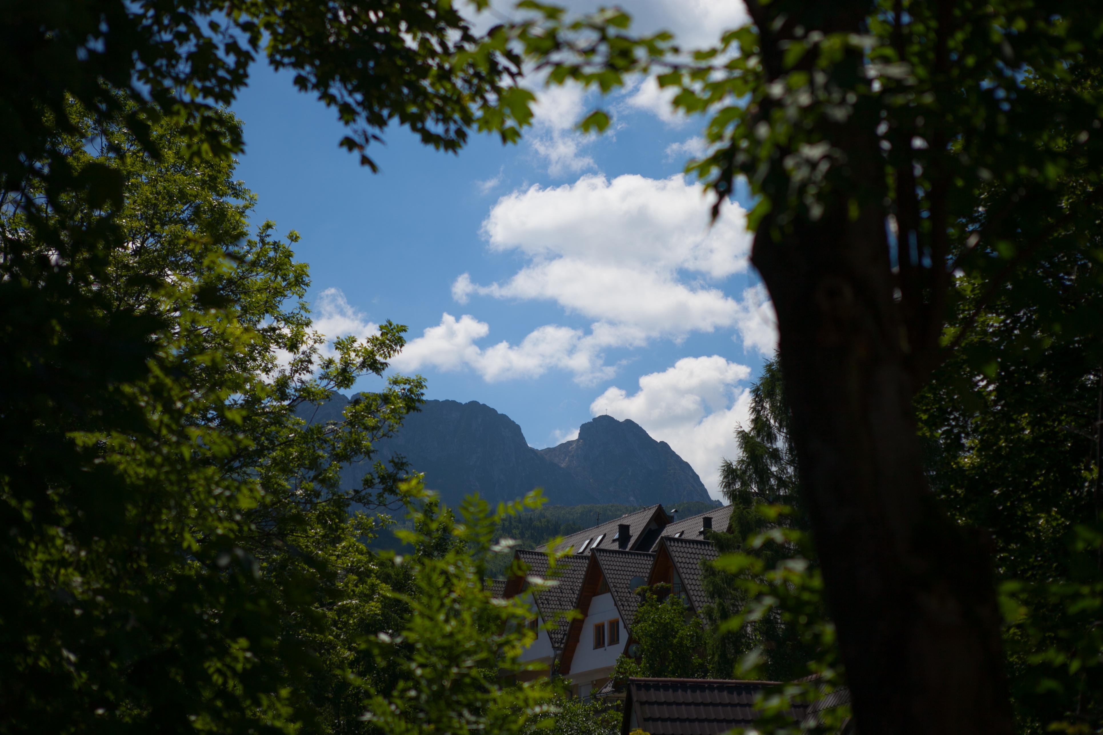 Szarotka Hotel Zakopane Exterior photo