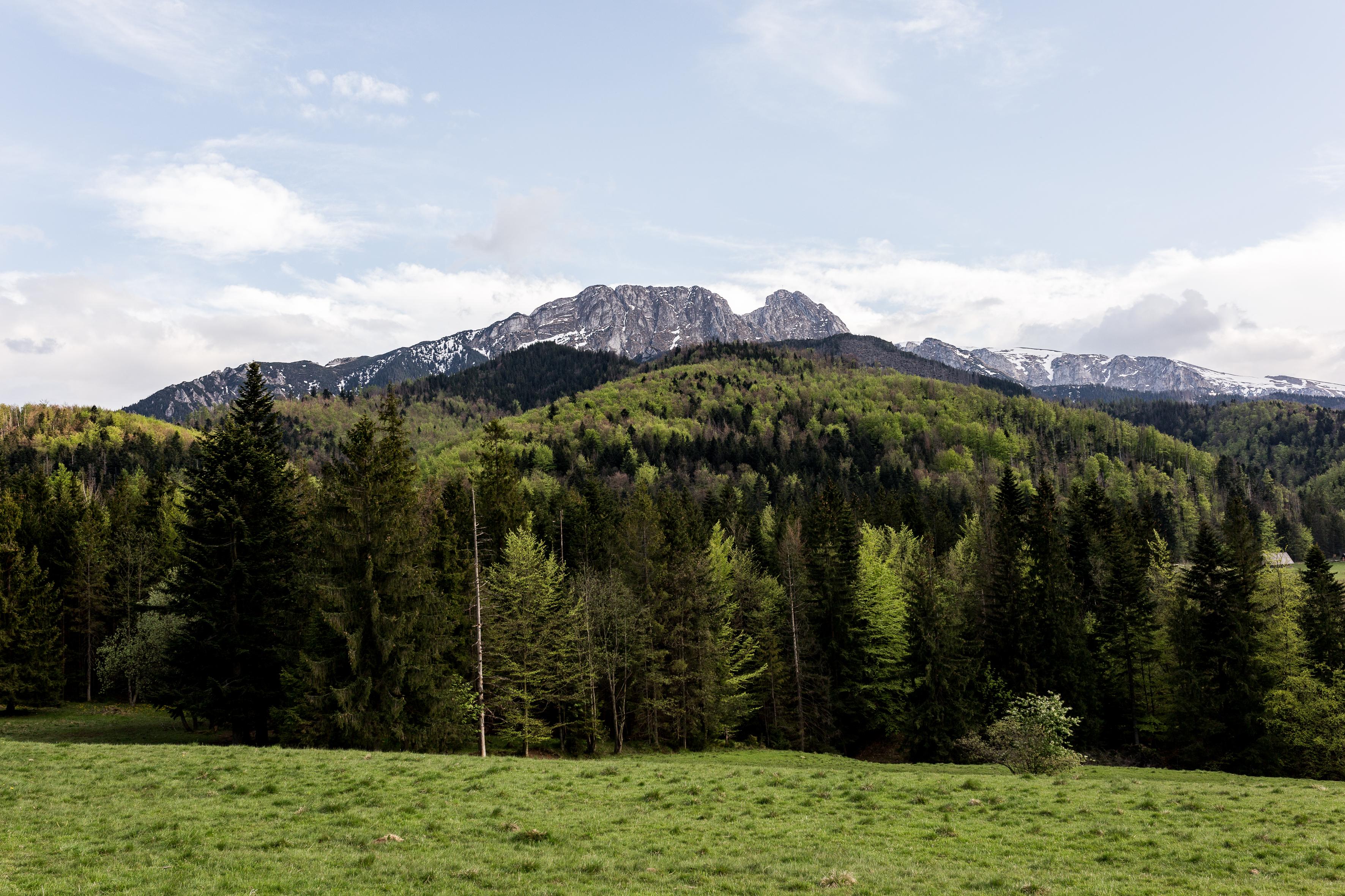 Szarotka Hotel Zakopane Exterior photo